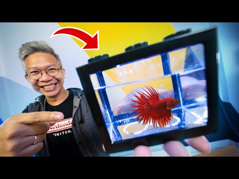 vlog anak - Beli Lego di Melbourne // Belanja Mainan Murah : Belanja di Australia. 