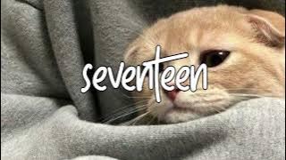 SEVENTEEN - JKT 48 || SPEED UP - REVERB || VIRAL TIKTOK 🌿