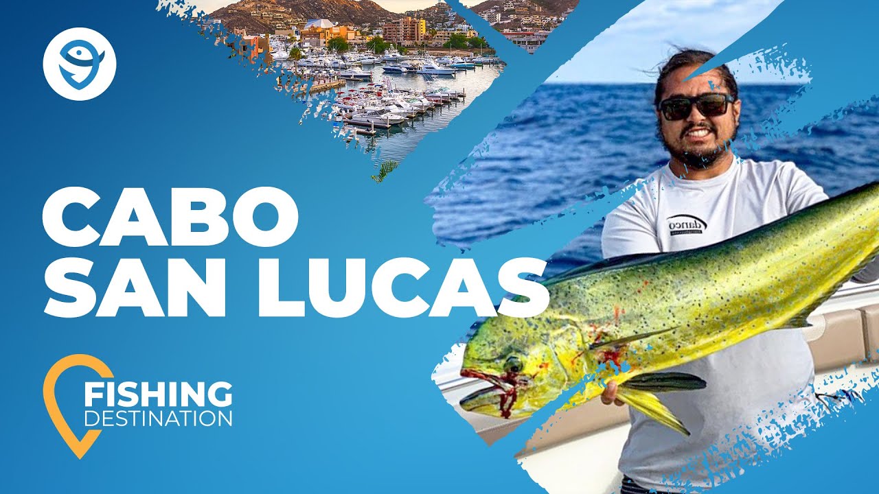 Fishing in Cabo San Lucas All You Need to Know FishingBooker YouTube
