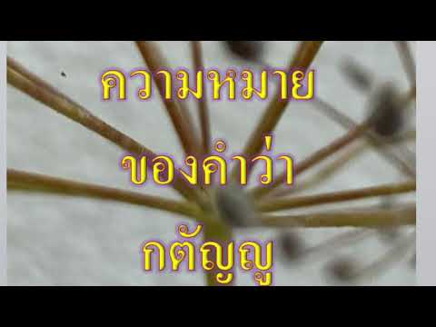 ความหมาย ของคำว่า กตัญญู