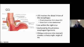 G-ECHO Medical Fellows: GORD/NERD/functional heartburn