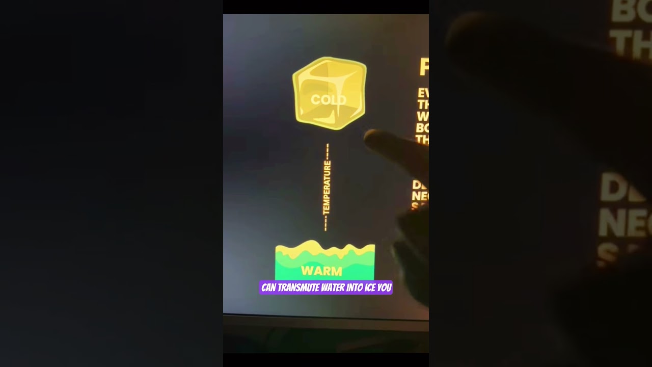 How I Manifested My Dream Reality