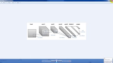 Convolutional Neural Network Projects| White Blood Cell Classification and Counting