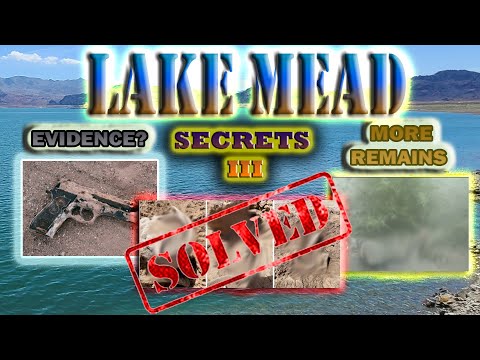 The Madiopolis Leak: We Have The Evidence