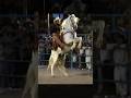 Dedicada a su padre, #ElViejoJoven, tema muy alegre interpretado junto a su fiel caballo