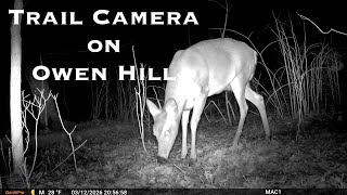 I set up a Trail Camera on Owen Hill, see what I found.