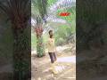 koi to wafa kare koi to jafa kare ❤️#shorts #trending #love#hit song #new Hindi video #YouTube viral