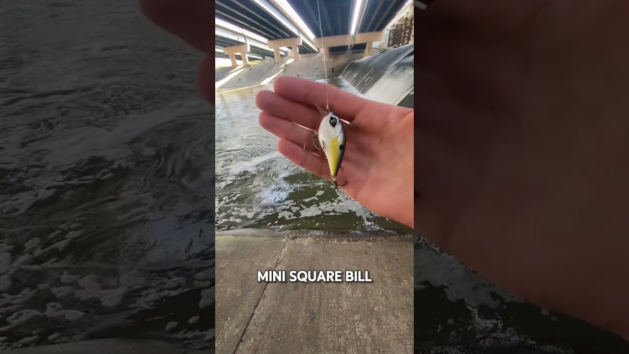 It's a strike out for @hunterdubs fwtx What would you throw here? 