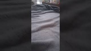 lets see how popular this vid can get :3 #loop #firstloop