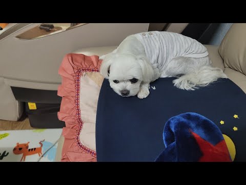 몆일전 노모님 <strong>생일상</strong> 부실한 이유를설명 드립니다 화목한 가족우애 중요
