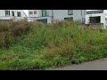 Как иммигранту ориентироваться во власти в Америке.