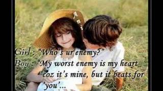 Spongecola  Tambay S