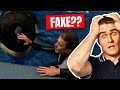 Jessica Radcliffe Orca Attack - FAKE!? or REAL??