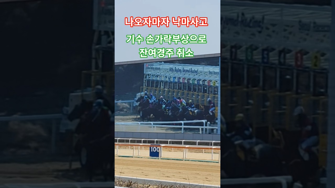 아이쿠야!#경마#말 #달려라말 #shorts #horse