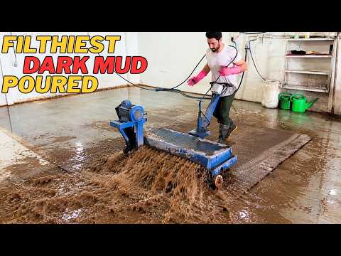 Filthiest, Dark Mud, Poured From This Flooded Rug | Carpet Cleaning Satisfying ASMR