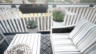 Plant & Chat: Hardy Stonecrop Sedum