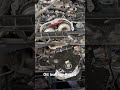 Audi Repair and maintenance
