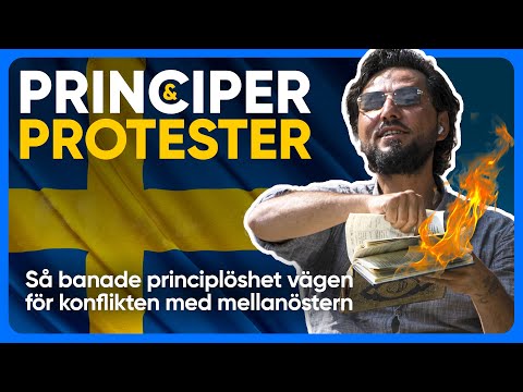 Video: Hur hanterar man opportunister?