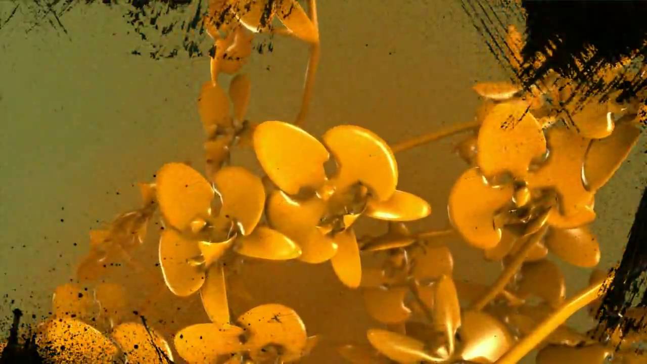 Anadune - Fields of Gold