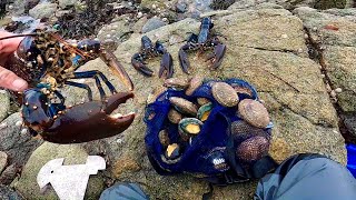 COASTAL FORAGING AT ITS FINEST - Big Lobsters & Abalone! Catch Clean Cook Big Lobster