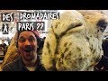 4000 ANIMAUX ENVAHISSENT PARIS ! VLOG TOOPET