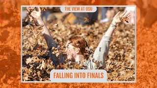 Falling Into Finals | The View at OSU