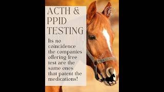 Increased ACTH Levels and PPID- There are more options than medication.