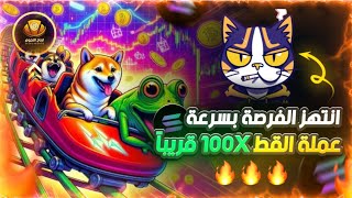 عملة جديدة meow عملة ميم كوين? ستحقق 10X بسرعة ⚡لاتضيعها ?