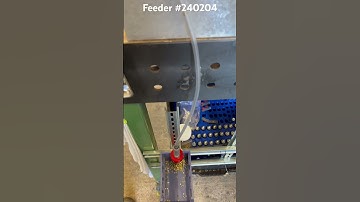 Feeder #240204 Running #reloading #apex