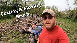 Clearing Pasture & Cutting Brush