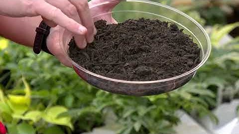 Getting to Know Your Soil