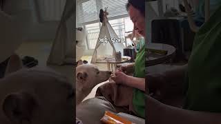 게시물로 오시면 바로구매 가능해요. 낮12시까지 당일배송! 목우촌 멍수무강 2차 최저가 오픈📣