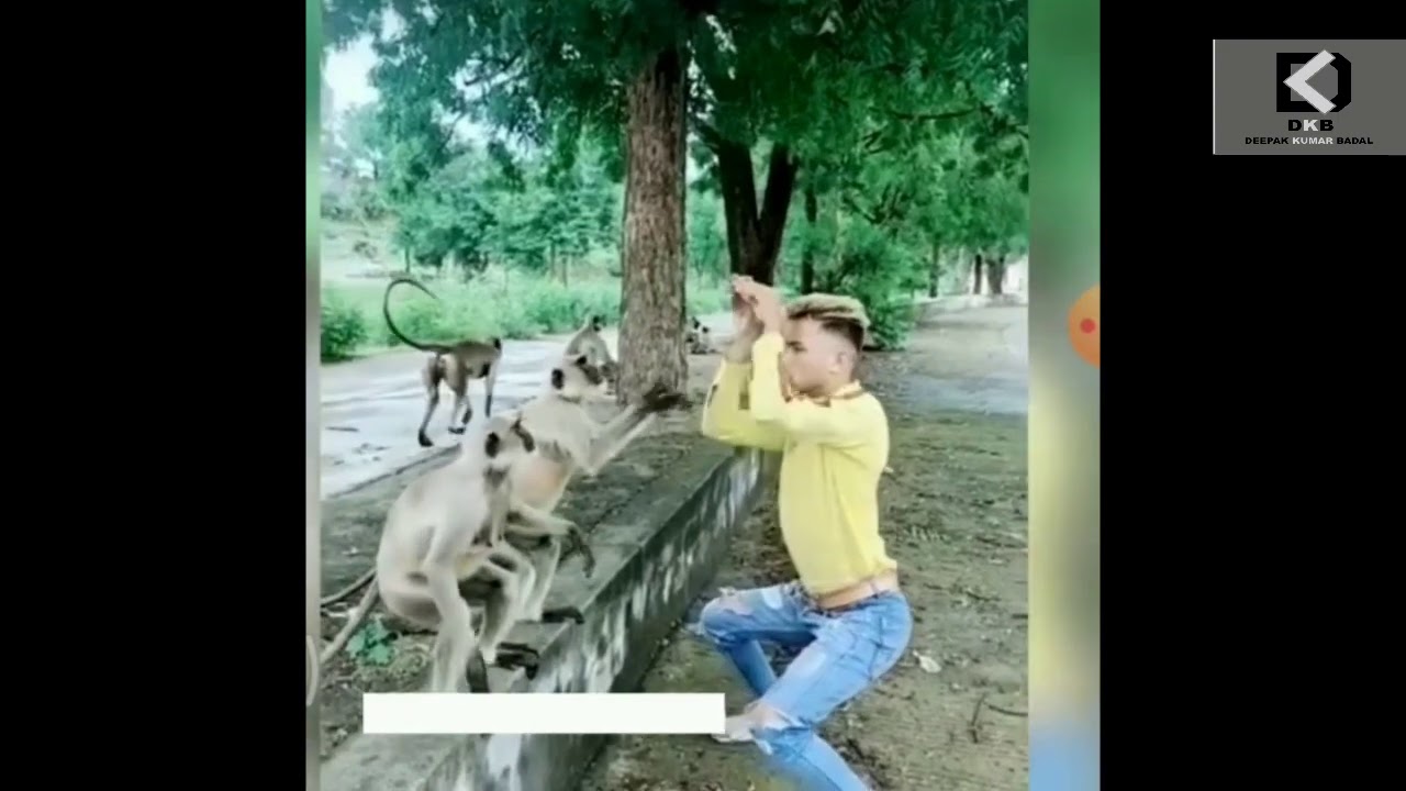 funny video | TRY TO NOT LAUGH CHALLENGE Must Watch New Funny Video ...