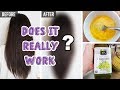 How To Grow Your Hair OVERNIGHT (Tested!) | DIY Egg & Coconut Oil Hair Mask for Hair Growth & Shine!