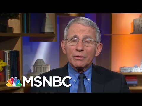 White House’s Attempt To Discredit Dr. Anthony Fauci Poses Long-Term Risk - Day That Was | MSNBC