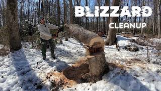 Tree Storm Damage Cleanup With Stihl Chainsaw & Milwaukee M18 Pole Saw