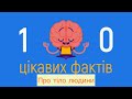 ЦІКАВІ ФАКТИ ПРО ТІЛО ЛЮДИНИ ДЛЯ ДІТЕЙ / мультик українською