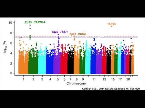 Understanding Manhattan Plots and Genome-wide Association Studies