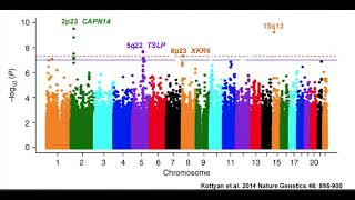 Understanding Manhattan Plots and Genome-wide Association Studies