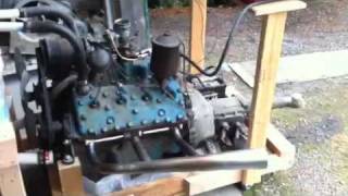 Flathead startup