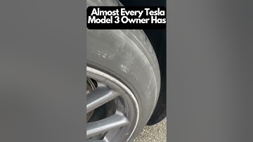 Almost Every #Tesla Model 3 Owner Has #shorts