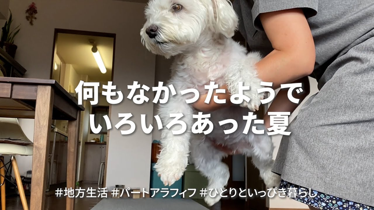 【アラフィフ一人暮らし】暮らしの話／いつの間にか夏が終わってた