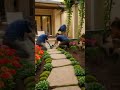 Як перетворити двір на РАЙ 🌿 Landscape design: simple and stylish ✨🌿 #landscape #landscapeaesthetics
