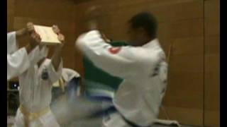 TKD Baden - Limit 2008 - Presentation