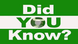 Did You Know?  Rockville's Red-Light Camera System