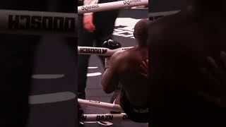 Wilder vs Chisora — Pure Heavyweight CHAOS 😤💥