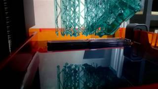 Form2 Formlabs Timelaps Print