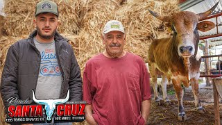 ¡UNA GANADERÍA CON EL SUEÑO DE TRIUNFAR CON PUROS TOROS MEXICANOS! RANCHO SANTA CRUZ DEL EDO. DE MEX