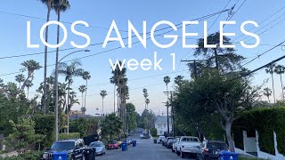 Первая неделя в Лос Анжелесе, переезд в США .Sibirskiy drug 2023
