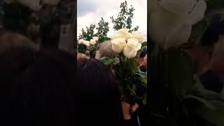 6 сентября 2023 г. в день  рождения Юрия Шатунова, Троекуровское кладбище в толпе поклонников